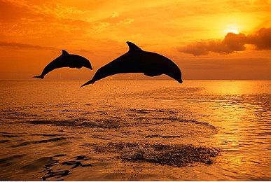 《女神异闻录3：Reload》明日将公布50分钟实机游玩画面